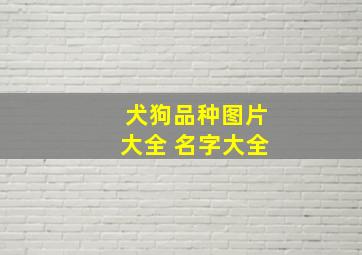 犬狗品种图片大全 名字大全